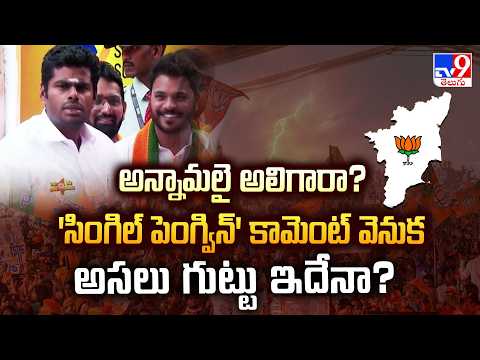 "Single Penguin" Mystery: అన్నామలై అలిగారా? 'సింగిల్ పెంగ్విన్' కామెంట్ వెనుక అసలు గుట్టు ఇదేనా?-TV9 - TV9