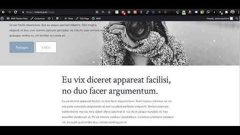 AMP for WordPress: Switching between your canonical and AMP URLs.
