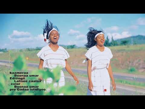 New Oromo Music 2021 Biqilaa Taammiruu Jabaadhu Qeerroo Koo Ethiopian Oromo Music Official Video
