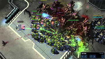 The TvZ engagement every zerg dreams about
