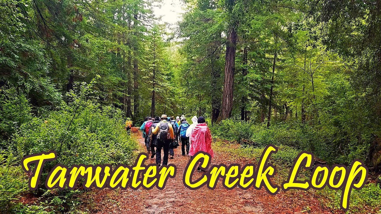 Tarwater Creek Loop, La Honda, CA (BAC hike in the rain) Dec. 01