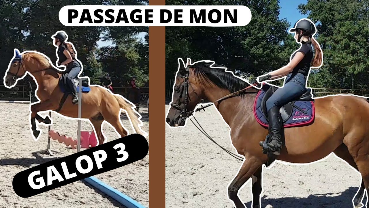 JE PASSE MON GALOP 3 ! (Equi Galwaye) 