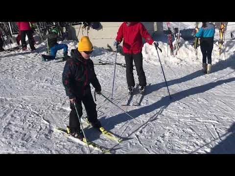 Video: Skijoring: Një Kombinim I Skijimit Në Vend Dhe Udhëtimit Me Sajë Me Qen