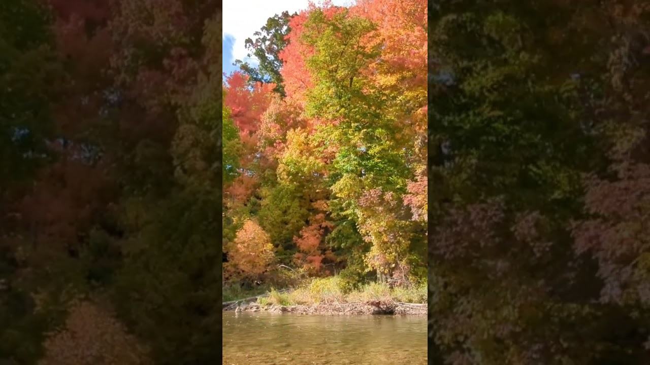 Autumn 🍁 in Canada 🇨🇦 