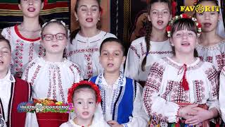 Grupul Pandelasul Colaj Dobrogean Prof Georgeta Nichifor