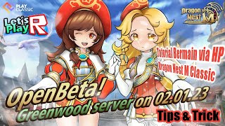 Tutorial Cara Bermain Dragon Nest M Classic via HP Android - Simple & Mudah | DNMC - Tips & Trick screenshot 1