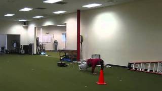 Plank Sled Drags