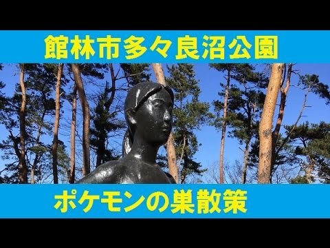 ポケモンgo ポケモンの巣散策 群馬県館林多々良沼公園 ポケスト多し Youtube