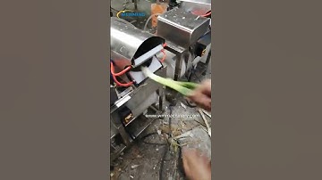Green onion peeling machine shallot peeler machine