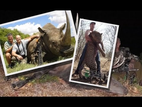 Dentist who killed Cecil the Lion has history of hunting outside the law