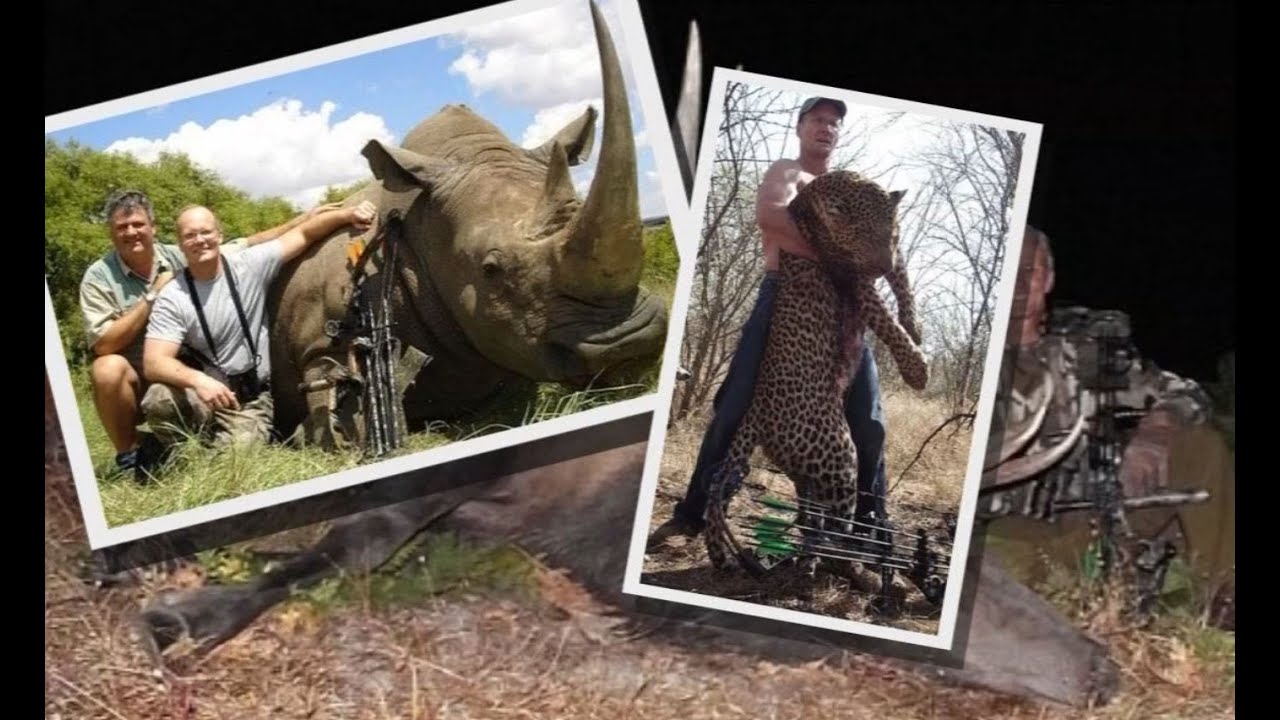 Dentist who killed Cecil the Lion has history of hunting outside the law