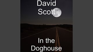 In the Doghouse