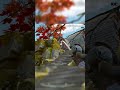 PVP ONLY | Arena Breakout Mobile PVP #arenabreakout.exe