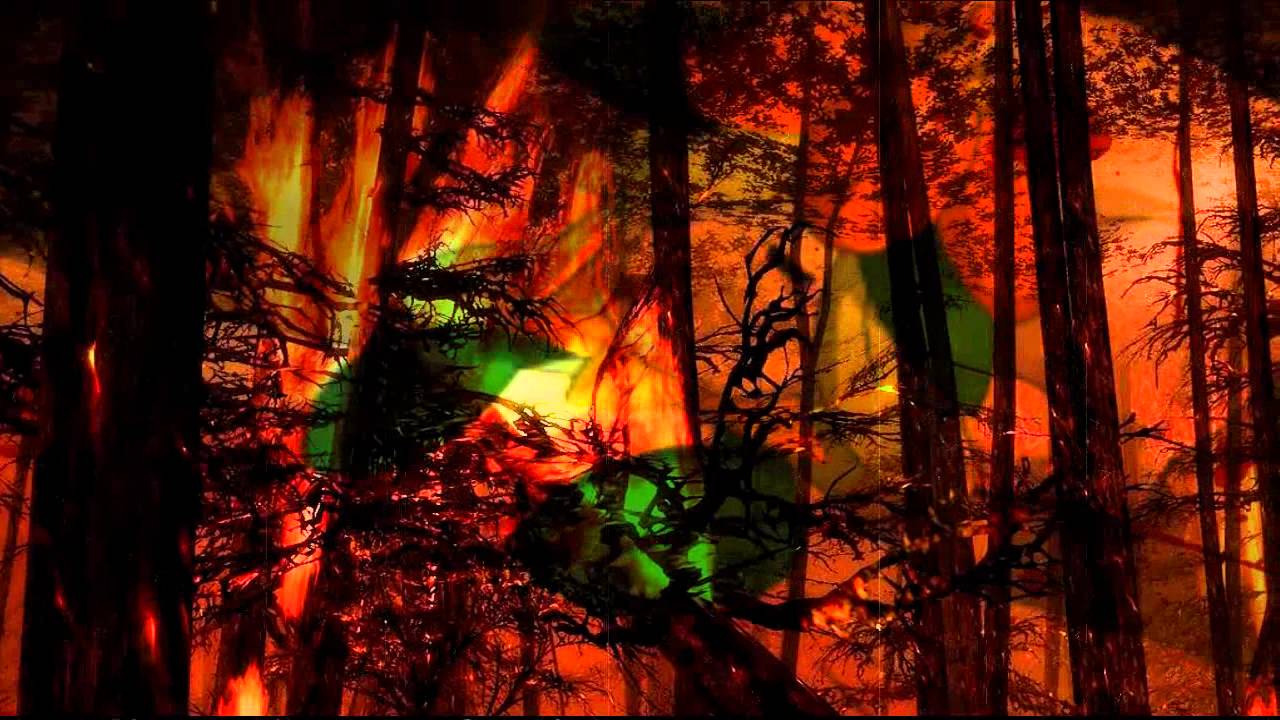 Escavalier & Accelgor (We want war)