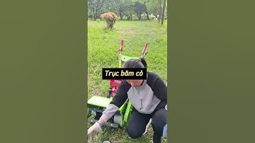 Máy xới đất làm cỏ lên luống chạy băm cỏ tự hành chạy xăng #nông_nghiệp #may