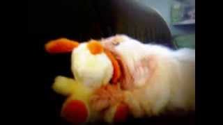 KoDoMo Play  with toy ( 16 year old  🌈 )