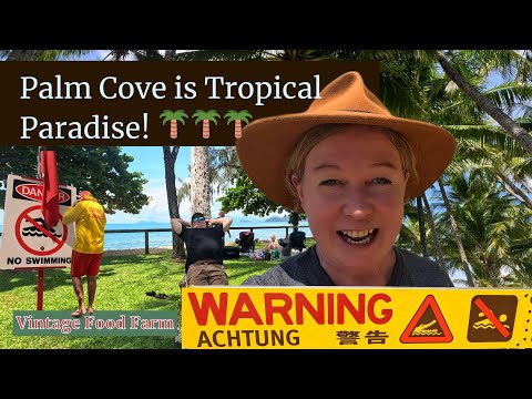 You GOTTA come here! Tropical paradise! Palm Cove😁🌴🥥🌅🏖️🏝️🐠🪝🎣