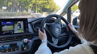 スマートパーキングアシストシステム【オデッセイ】 screenshot 4