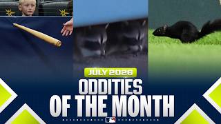 MLB's BEST bloopers of July 2026! 🤣 (Black squirrels, raccoons & more ballpark oddities)