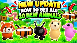 New Update How To Get All 20 New Animals In Find The Animals [120] - Roblox