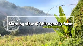 Getting fresh air at Chiengmai’s farm