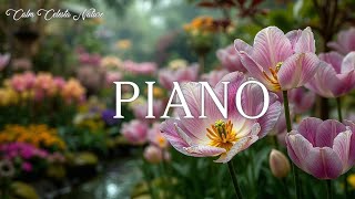 Relaxing Piano Strings | Peaceful Garden Music for Stress Relief & Focus Now