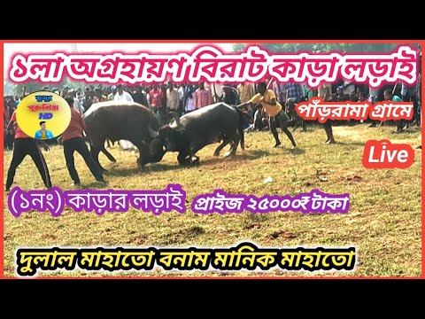 পাঁড়রামা গ্রামে দুলাল মাহাত বনাম মানিক মাহাত গাদা গাদি লড়াই দেখেনিন/ #jhumurpuruliahd#karalorai