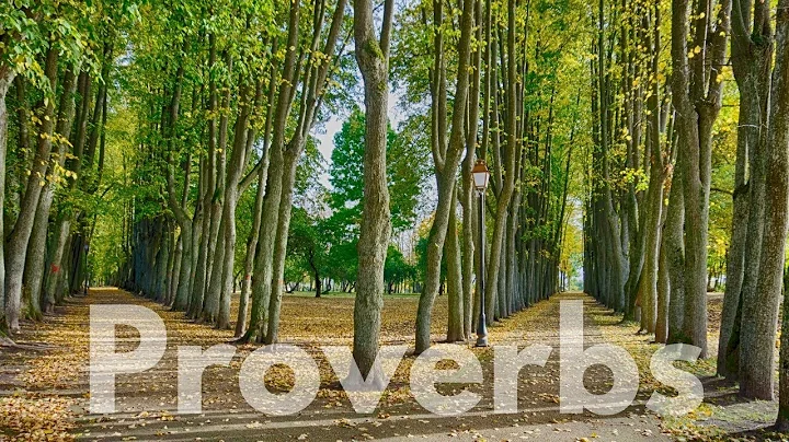 Wisdom for Life - Proverbs 3:13-35