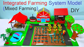 integrated farming system (IFS) model project (mixed crop )  for science exhibition | howtofunda