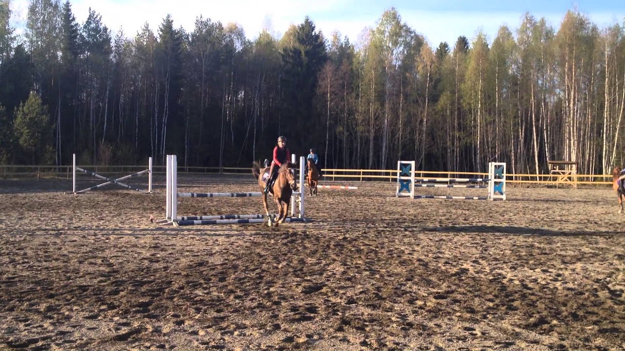 Woody og Iselin. sprangtrening 29 april. Danka trening_1