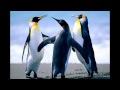ガラクタの思い出(オリジナル)/いろどり