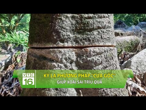 Kỳ lạ phương