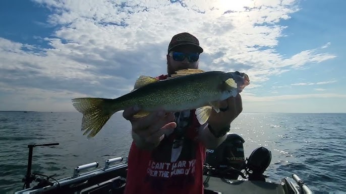 Acme Hyper Glide Review - The Coolest Lure Ever! 