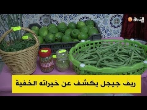 ريف جيجل يكشف عن خيراته الخفية 