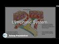 Lymphatic system biology lecture  sabaqpk