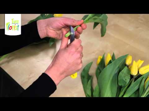 Wideo: Jak zrobić drabinkę linową: 12 kroków (ze zdjęciami)