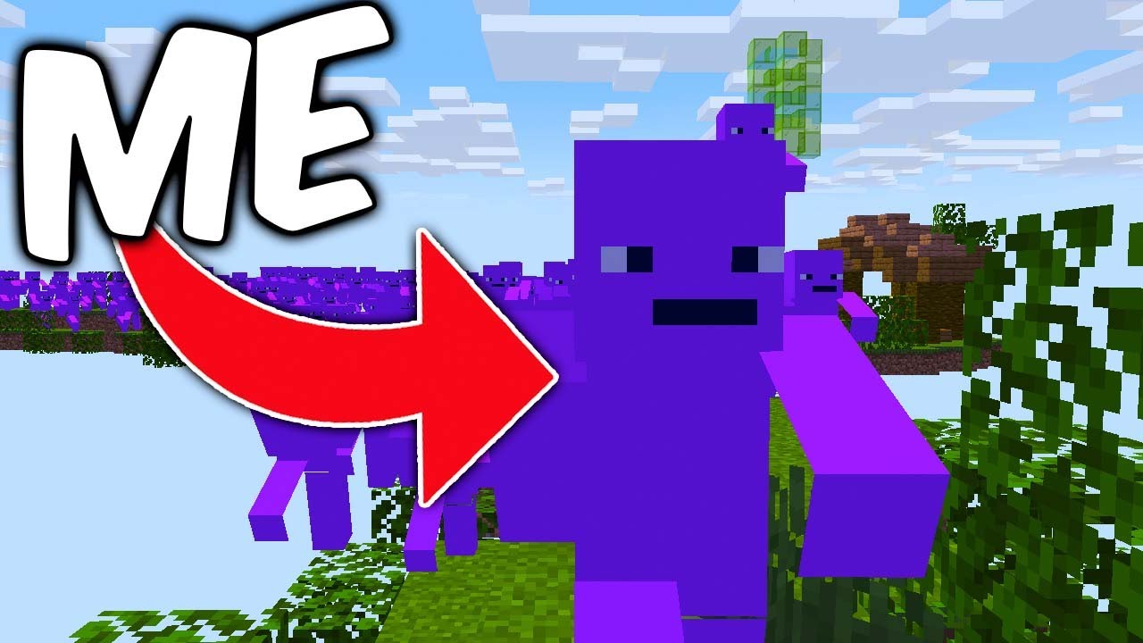I Was COPIED in MINECRAFT...