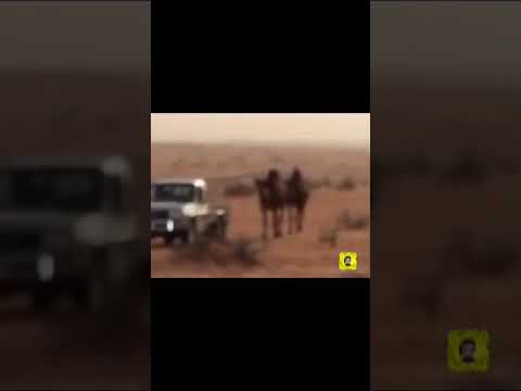 قصيدة بخوت المري اداء صنهات العتيبي