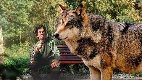 The Hard Truth About Rewilding