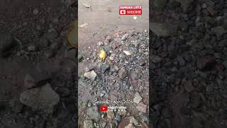 21 April 2026 Ngobar Runtah