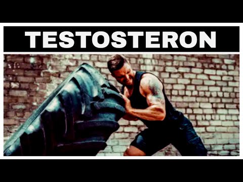 Bedeutung von Testosteron im Sport (kurze Erläuterung)