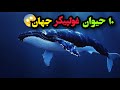 ده حیوان غول آسا و شگفت انگیز جهان بزرگترین حیوانات جهان عجیب ترین موجودات
