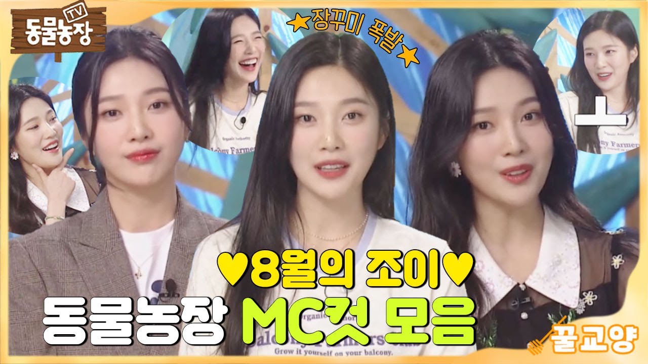 [꿀교양] 장꾸미 폭발했조이♥ 8월의 조이 몰아보기! I TV동물농장 (Animal Farm) | SBS Story