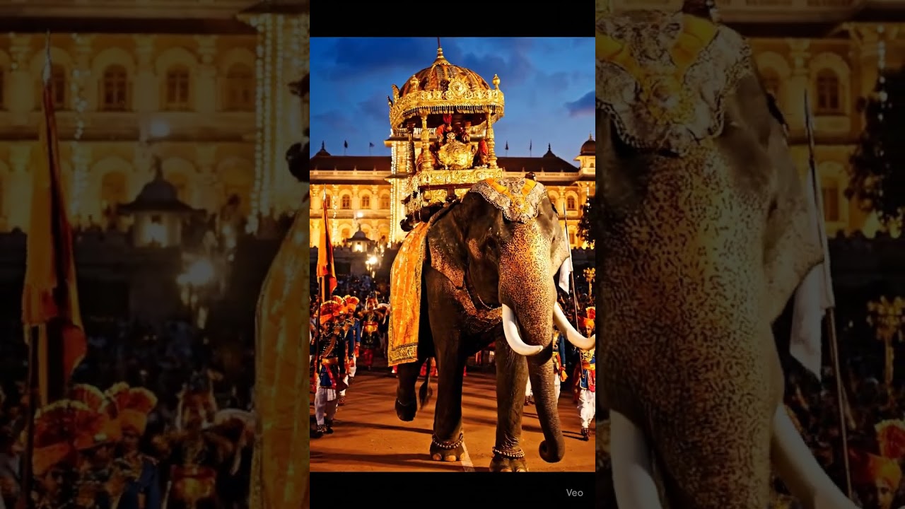 ✨ Mysuru Dasara 2025 | Jamboo Savari Grand Elephant Procession with Golden Howdah | Vijayadashami