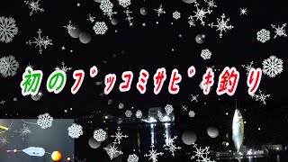 ﾌﾞｯｺﾐｻﾋﾞｷでアジを狙ってみた(夜釣り）