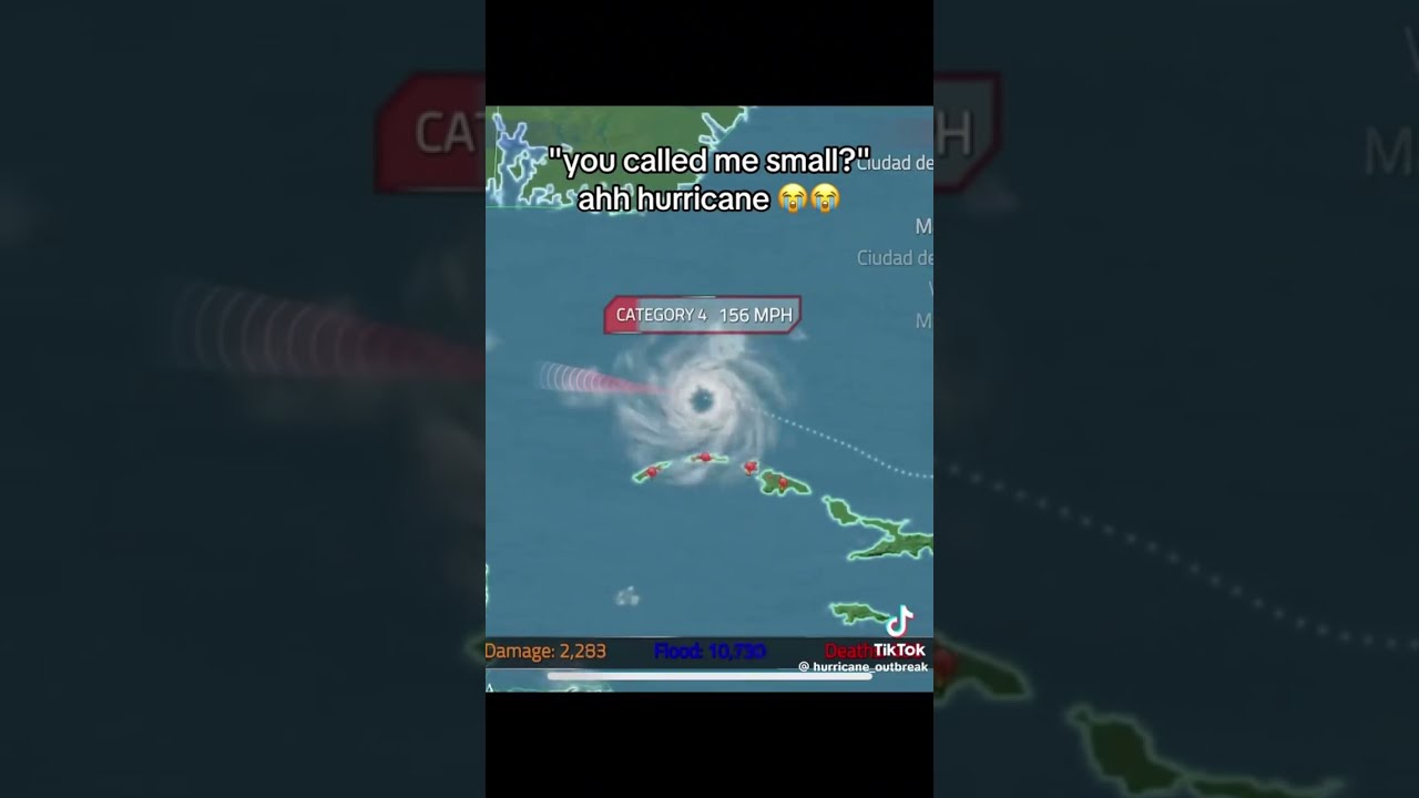 You Called Me Small Ahh Hurricane Creds To On Tik Tok
