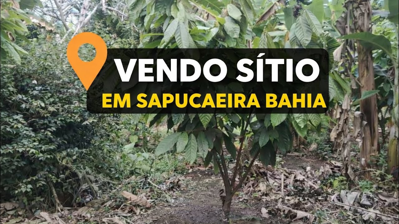 Vendo sítio em sapucaeira Bahia.