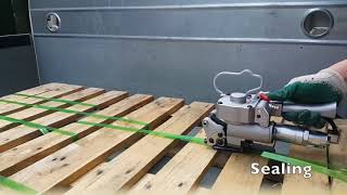 AQD19 Pneumatic PET Strapping Tool
