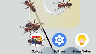 How to stop ant run on screen 2026 screenshot 3