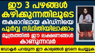 ഈ 3 പഴങ്ങൾ കഴിക്കുന്നതിലൂടെ തകരാറിലായ കിഡ്നിയെ പൂർവ്വ സ്ഥിതിയിലാക്കാം | kidney failure symptoms